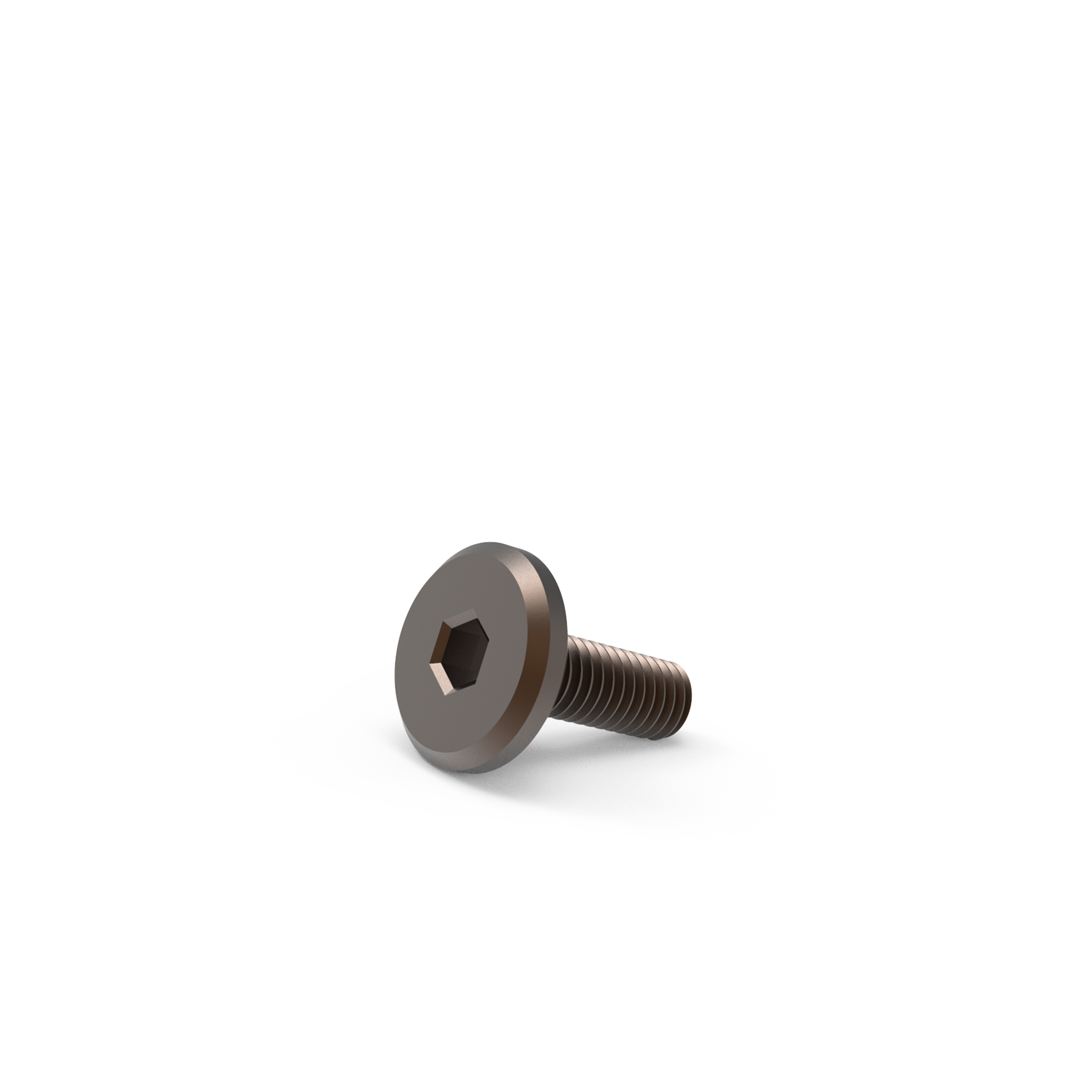 Bolt Bronzed Steel M6*18mm