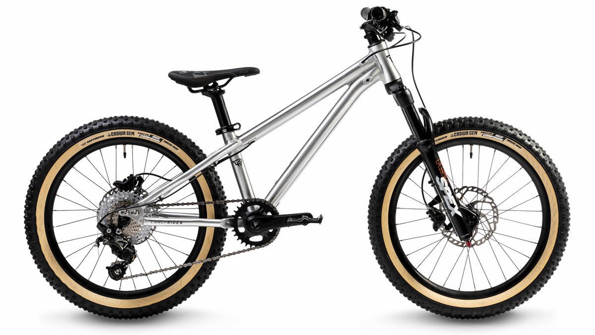 Early rider hot sale hellion trail 20
